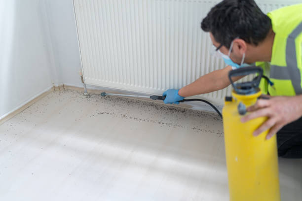 Best Pest Removal Services  in Half Moon, NC